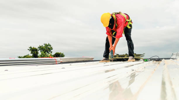 Best Storm Damage Roof Repair  in Harrison, TN