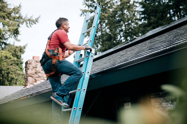 Best Gutter Installation and Repair  in Harrison, TN